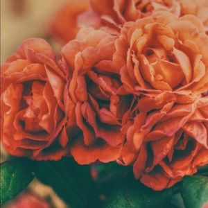 Meet your Posher, Sabrina